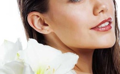 美国ZOOm人狗欢迎你